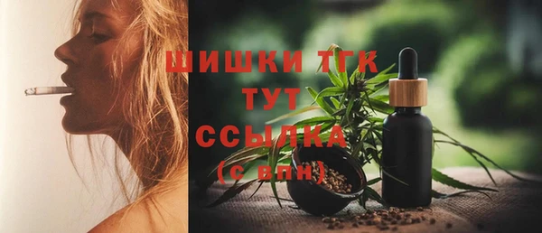 spice Арсеньев