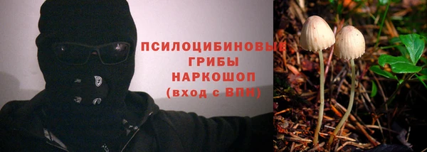 spice Арсеньев