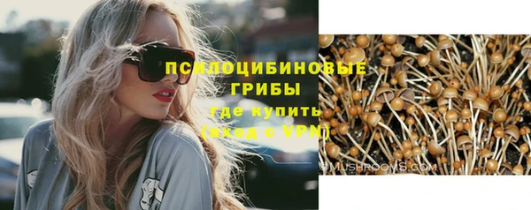 spice Арсеньев