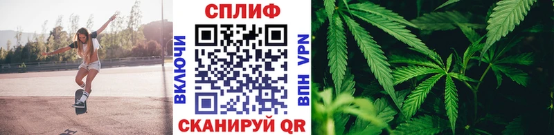 МАРИХУАНА тримм  продажа наркотиков  Сосенский 